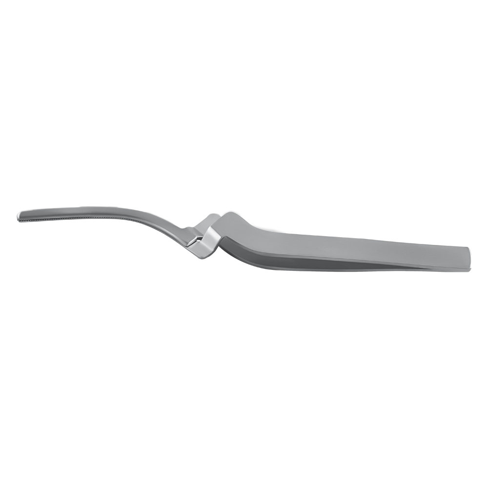 Paper Forcep Curved
