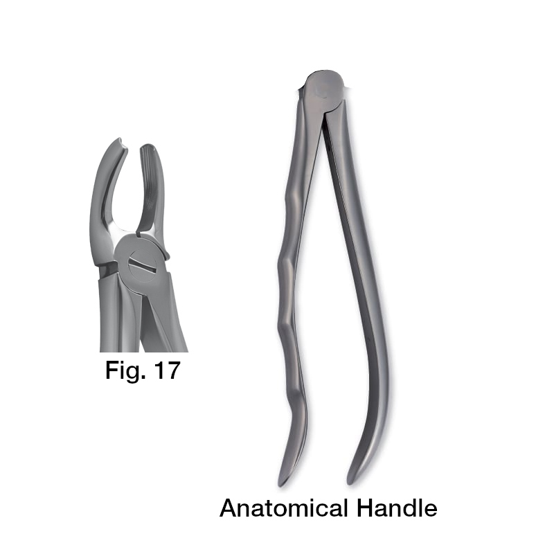 11017000 Forceps Fig. 17
