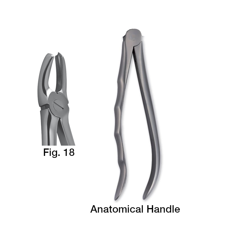 11018000 Forceps Fig. 18