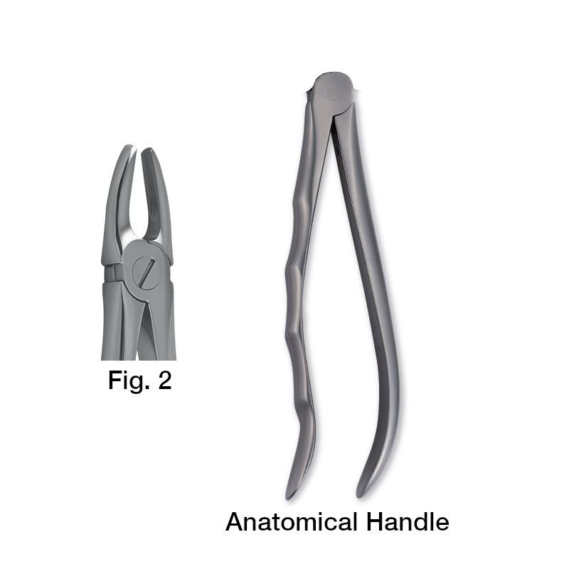 11001002 Forceps Fig. 2