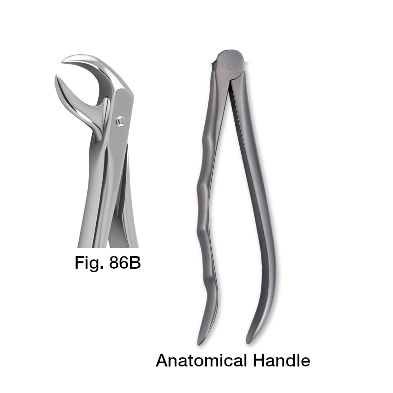 11086002 Forceps Fig. 86B