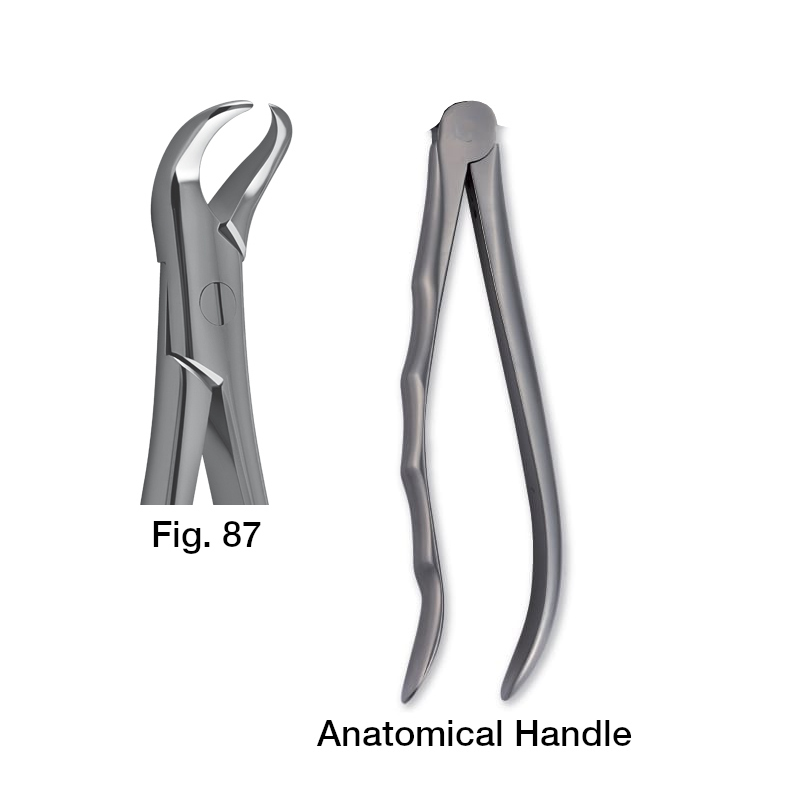 11087000 Forceps Fig. 87